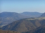 2014